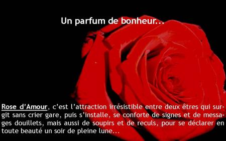 je pensse a toi a chaque second 